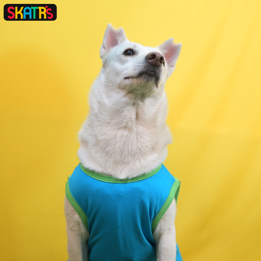 Skatrs Bitches Love Me Printed Summer Cotton T Shirt for Dogs and Cats (Blue) image 4