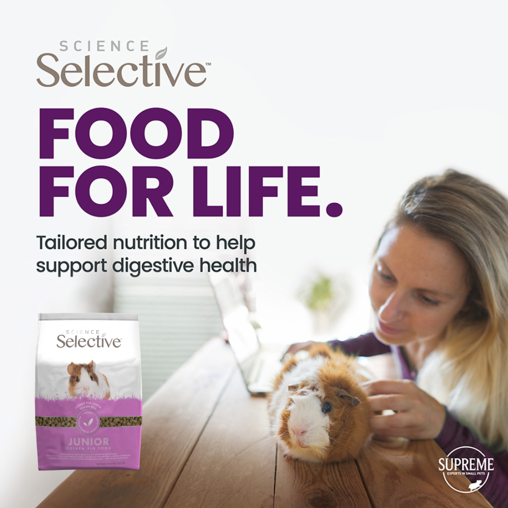 Science Selective Junior Guinea Pig Food image 3