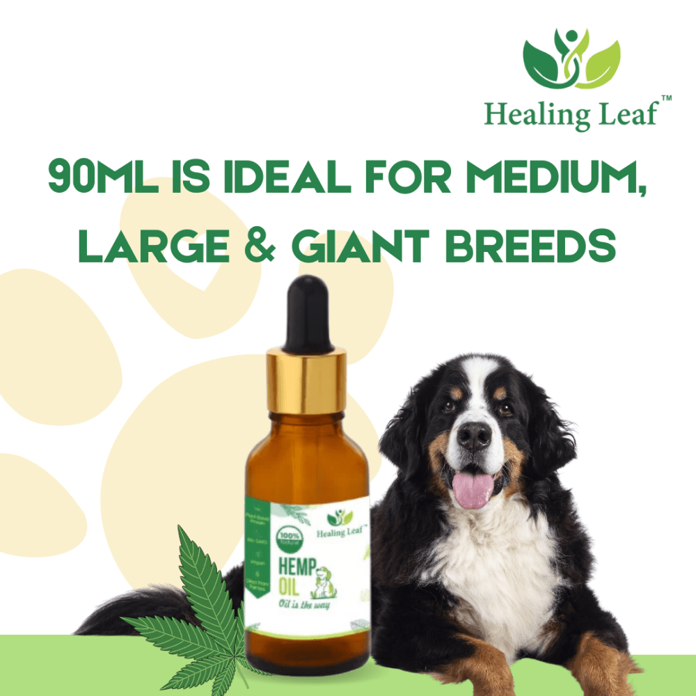 Healing Leaf Hemp Oil for Dogs and Cats image 5