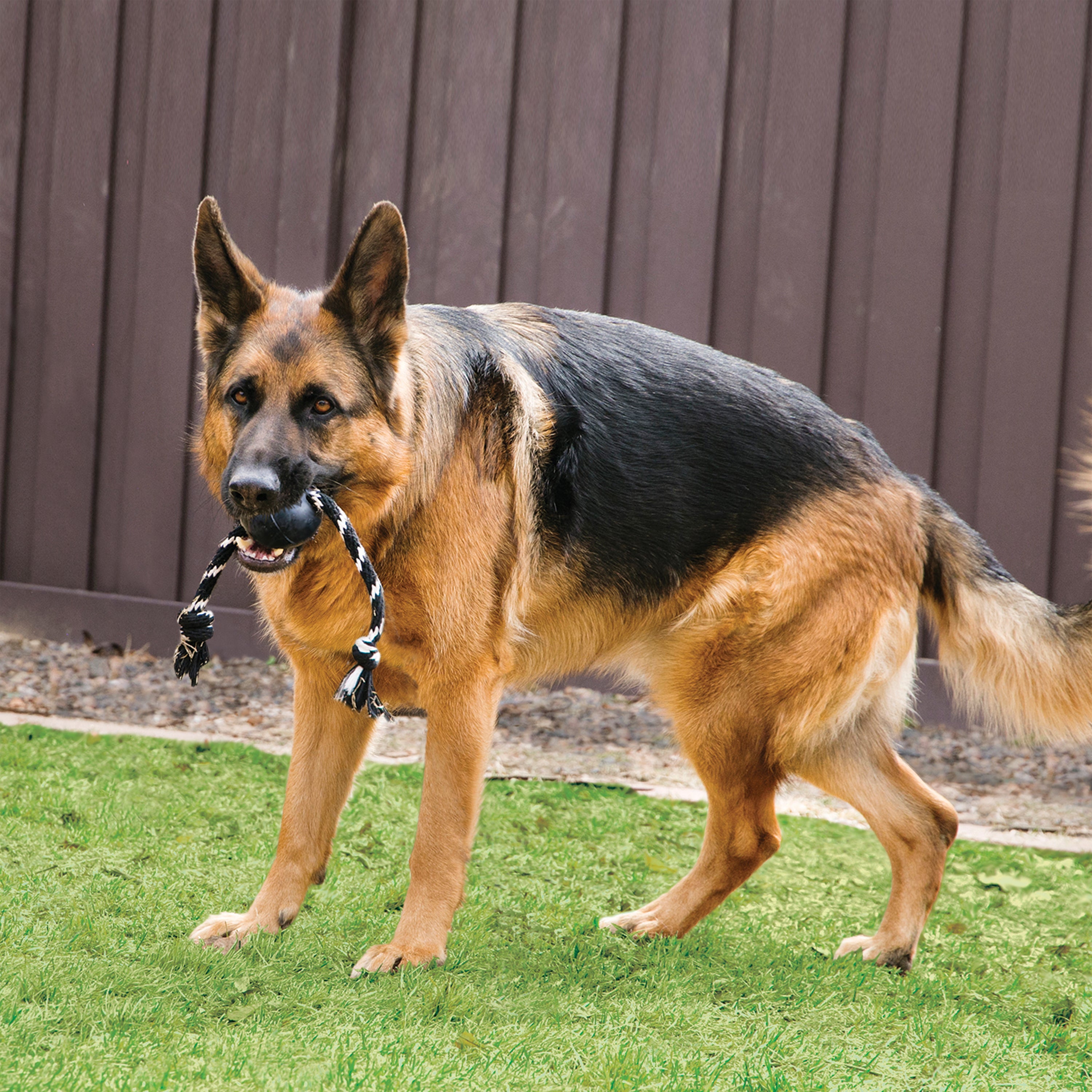 Kong Extreme Ball with Rope Toy for Dogs (Black) image 2