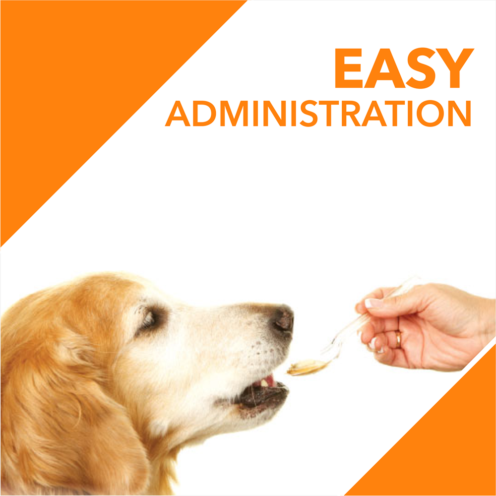 Drools Absolute Salmon Oil Syrup Supplement for Dogs image 5