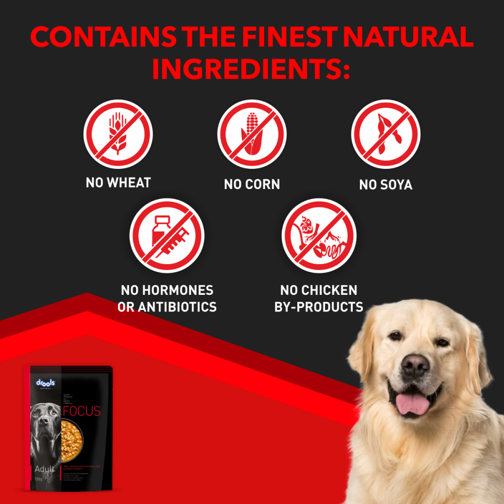 Drools Focus Real Chicken & Chicken Liver Chunks in Gravy Adult Dog Wet Food image 6