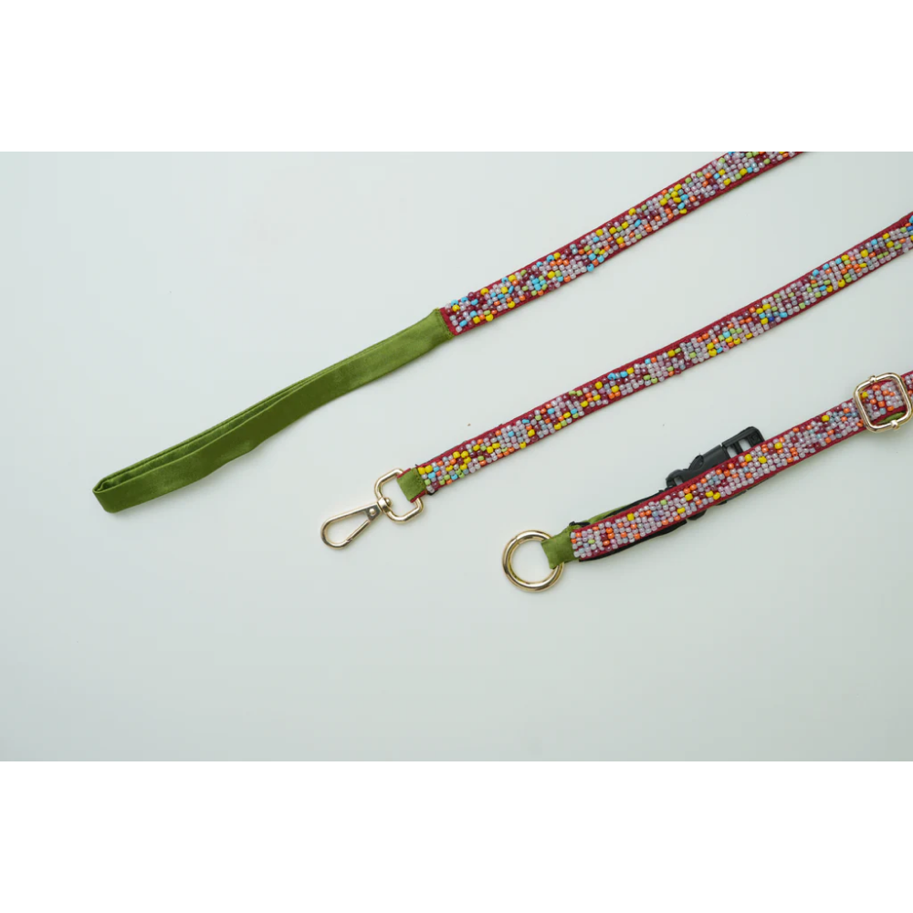 Floof & Co Sprinkles Leash & Collar (Green / Red) image 2