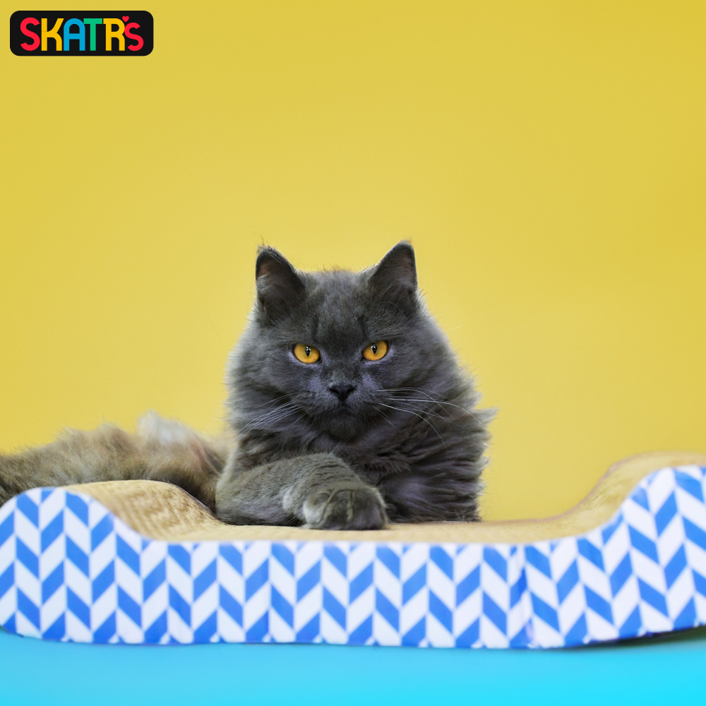 Skatrs Lounge Corrugated Cardboard Scratcher Pad Toy With Catnip for Cats (Length 38cm) image 4