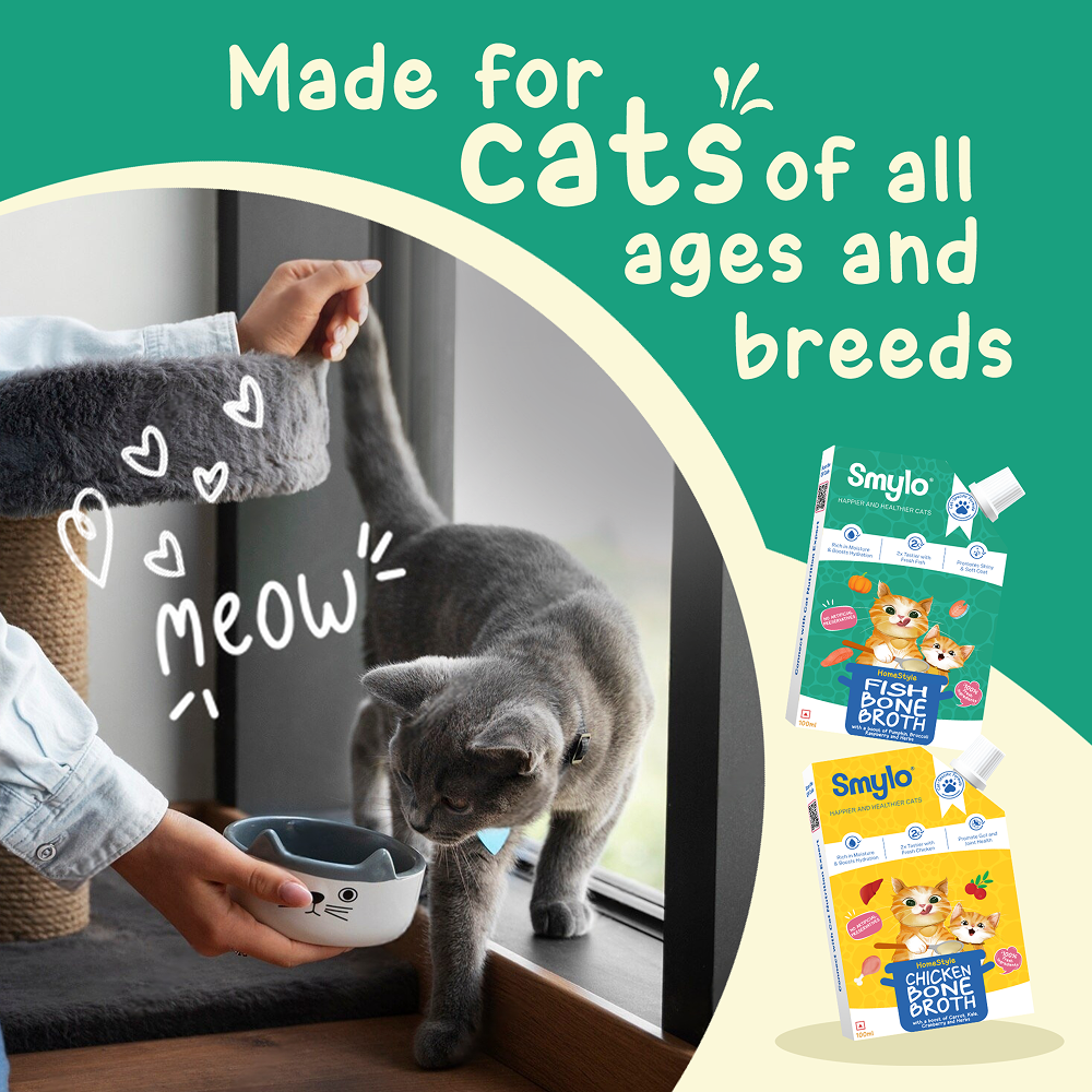 Smylo Hydration Rich Fish with Pumpkin, Broccoli and Raspberry Bone Broth for Cats image 6