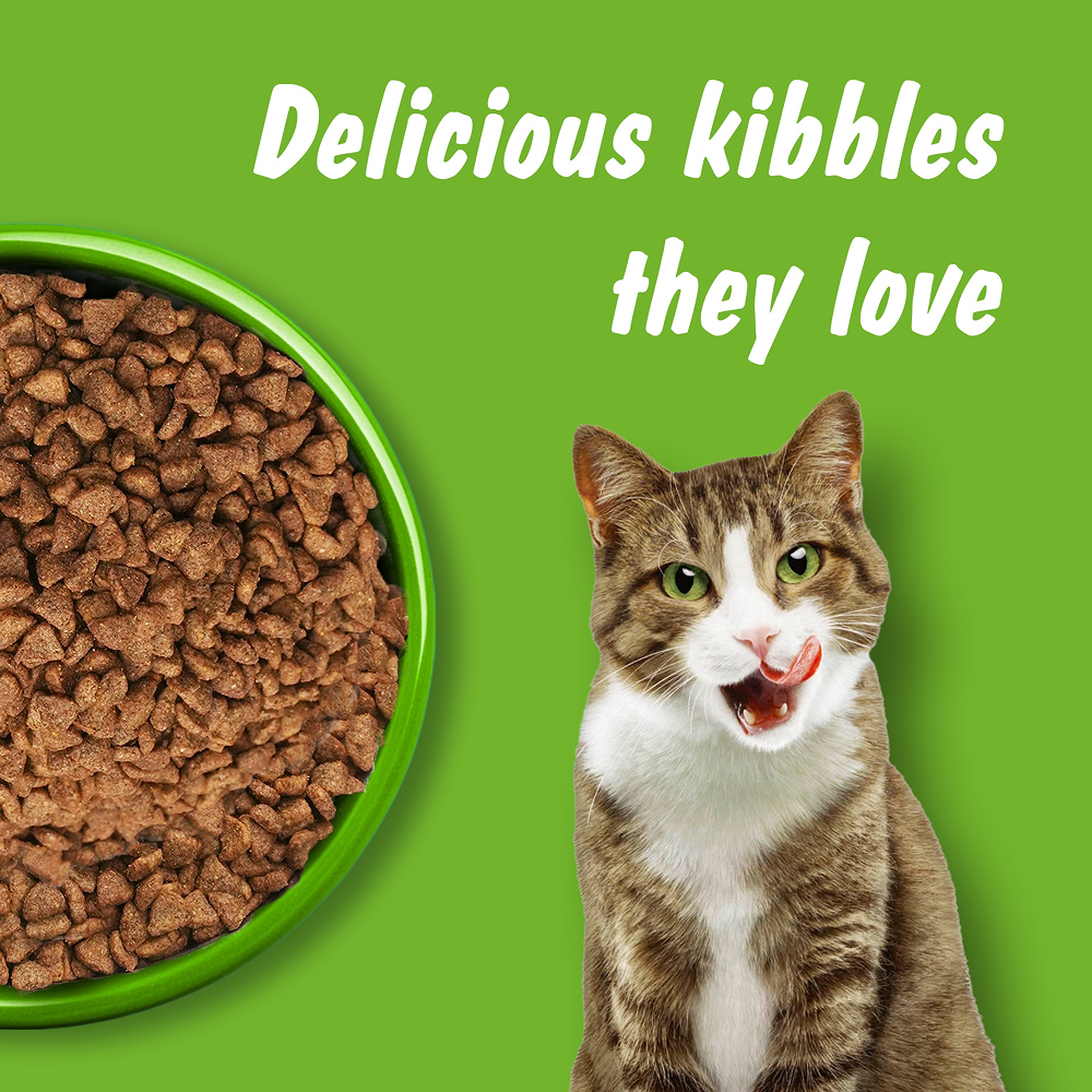Kitekat Ocean Fish Adult Cat Dry Food image 7