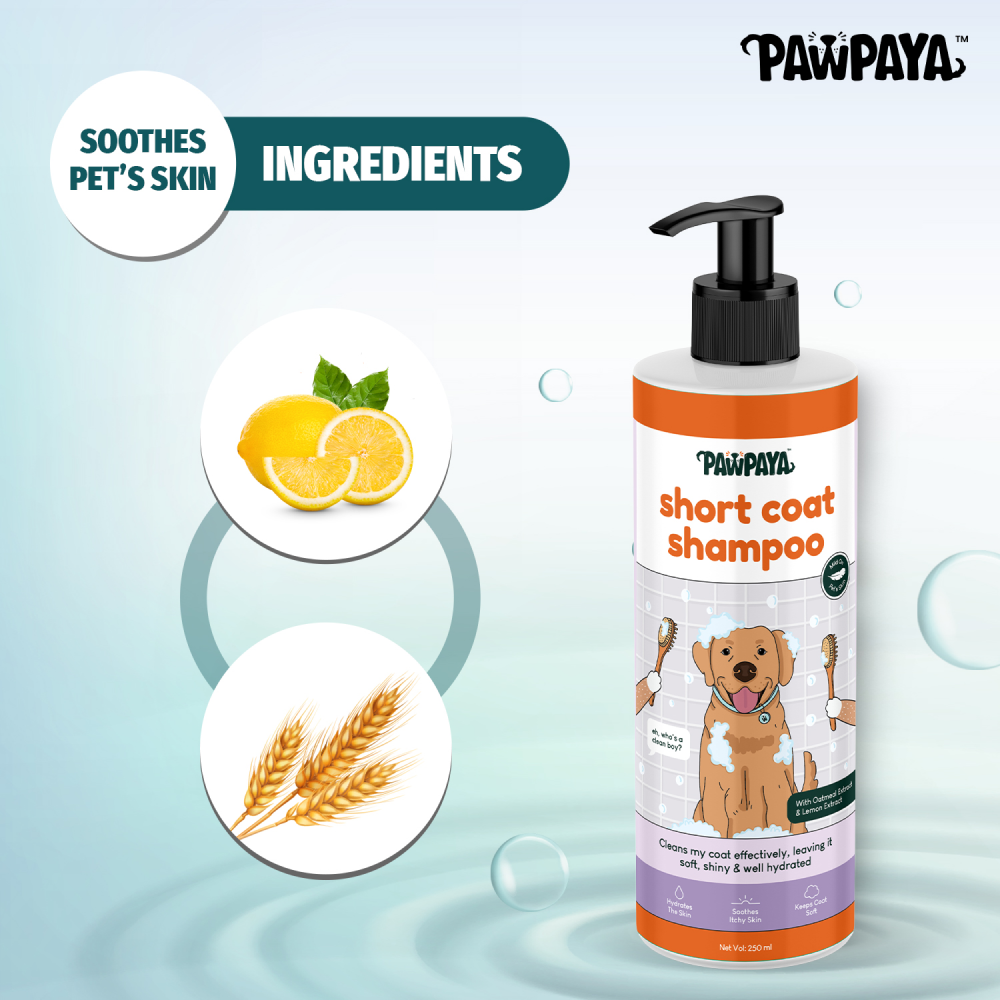 Pawpaya Short Coat Shampoo for Dogs image 5