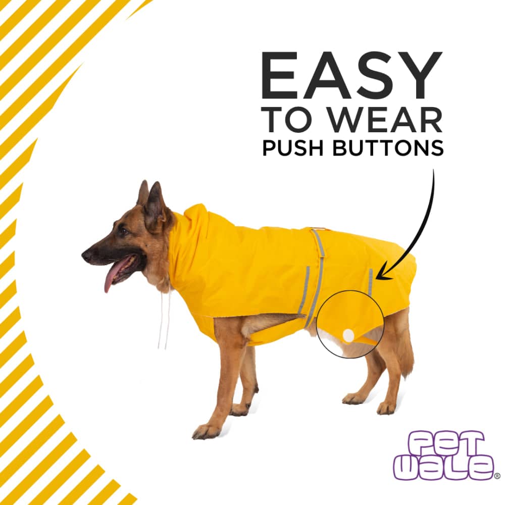 PetWale Reflective Raincoat for Dogs (Yellow) image 3