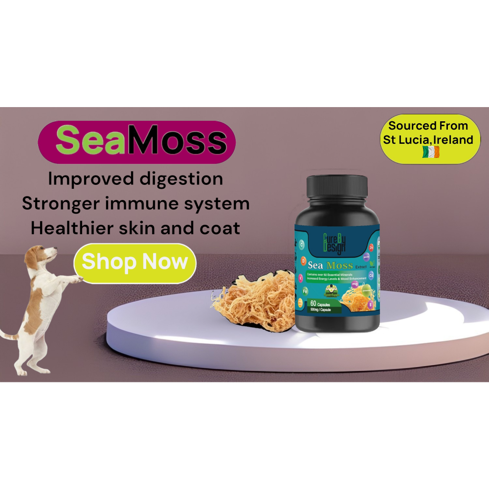 Cure By Design Sea moss Capsules for Dogs and Cats image 4