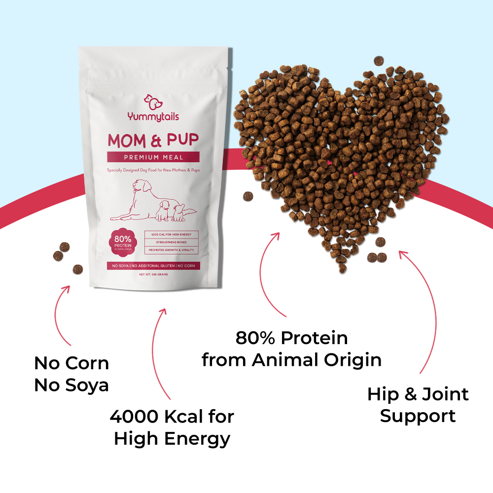 Yummytails Super Premium Mother and Puppy Dry Food | Chicken & Fish Flavor | Corn and Soya Free Formula image 5