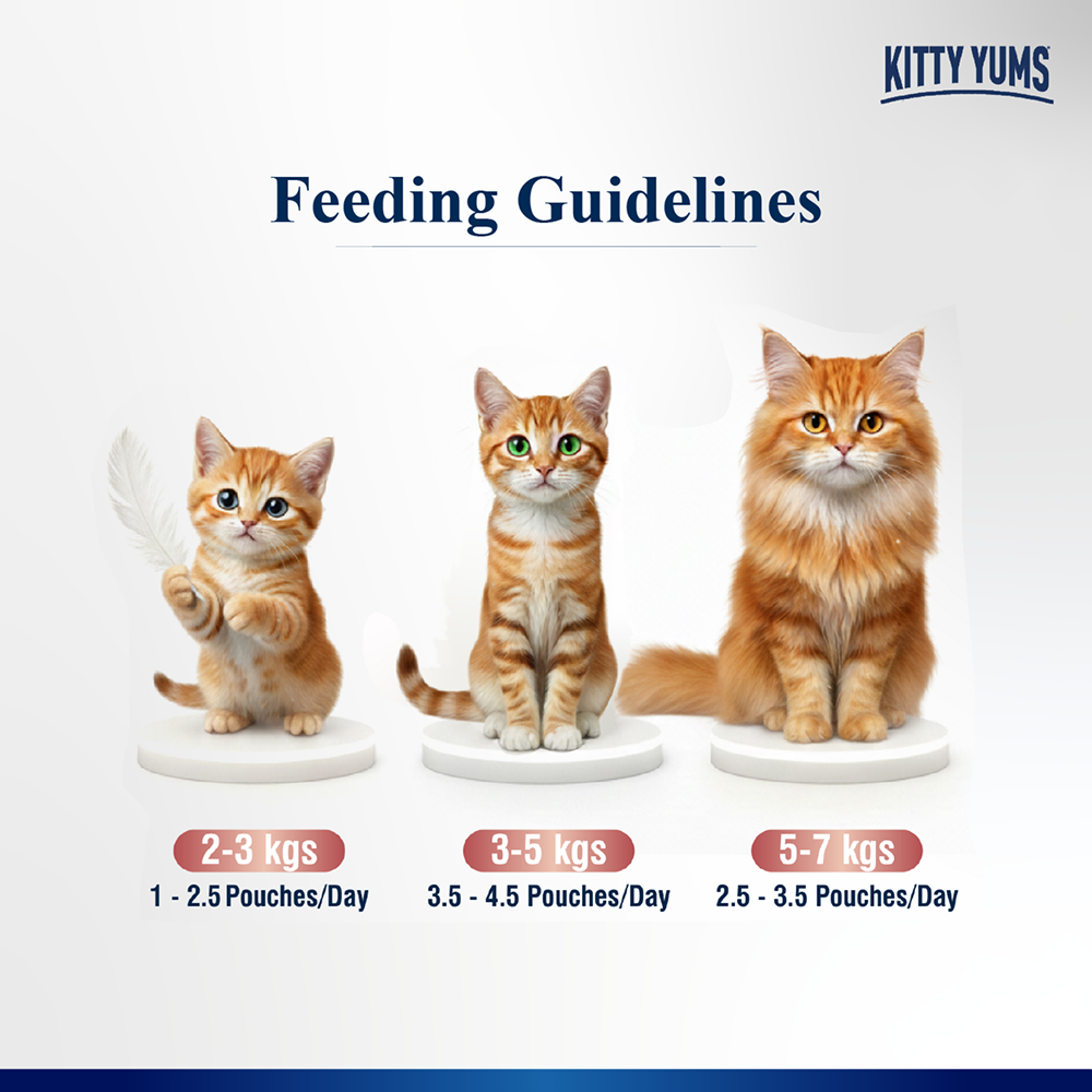 Kitty Yum Salmon Mousse Adult Cat Wet Food image 4