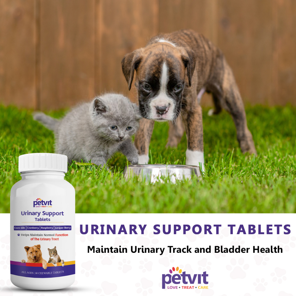 Petvit Urinary Support Tablets for Dogs and Cats image 7