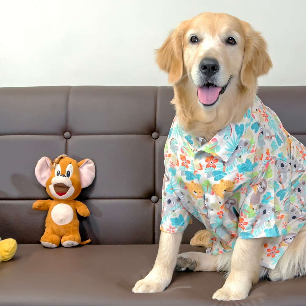 15buttons Tropical Koala Shirt for Dogs image 5