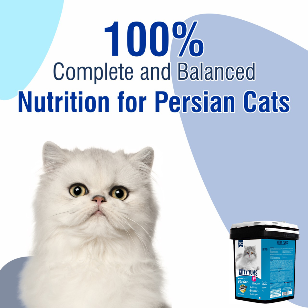 Kitty Yums Ocean Fish Persian Cat Dry Food image 8