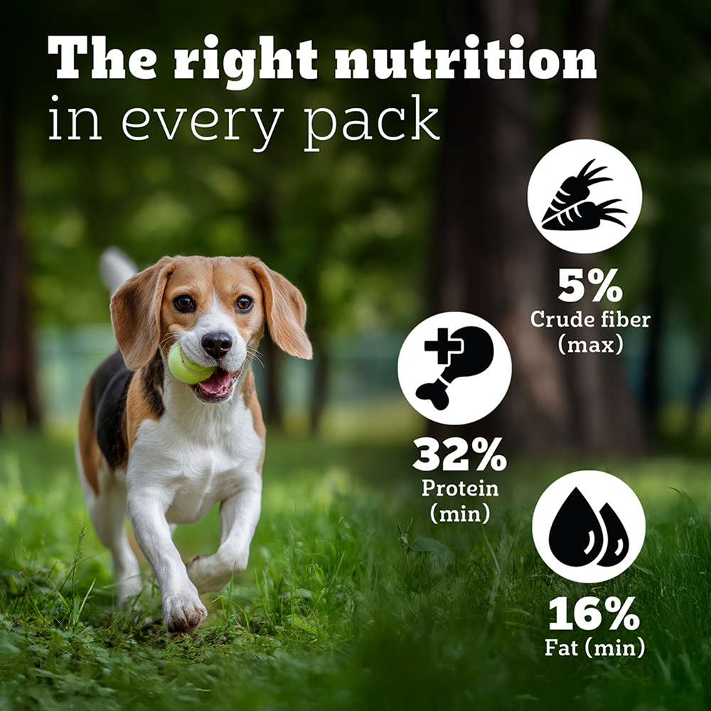 Pedigree PRO Expert Nutrition Lactating/Pregnant Mother & Puppy Starter (3 to 12 Weeks) Small Breed Dog Dry Food image 5