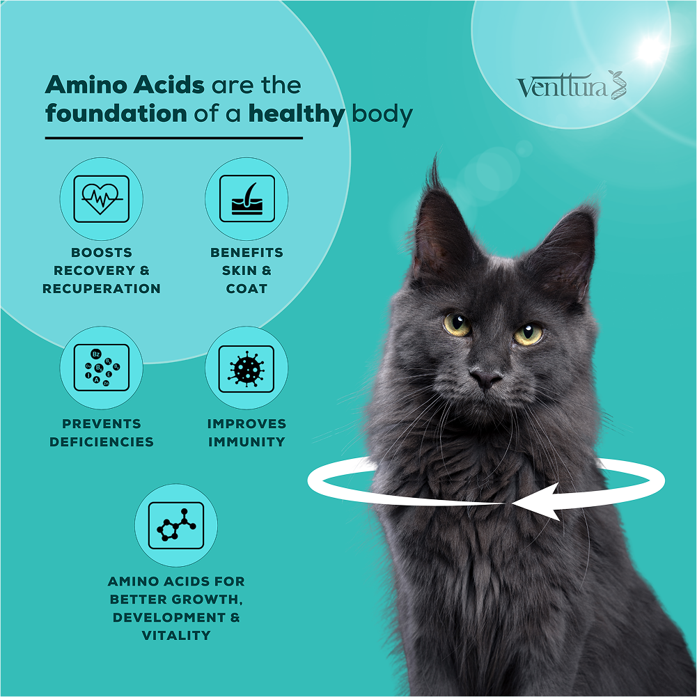 Venttura Amino Acids & Vitamin Supplement for Cats image 4