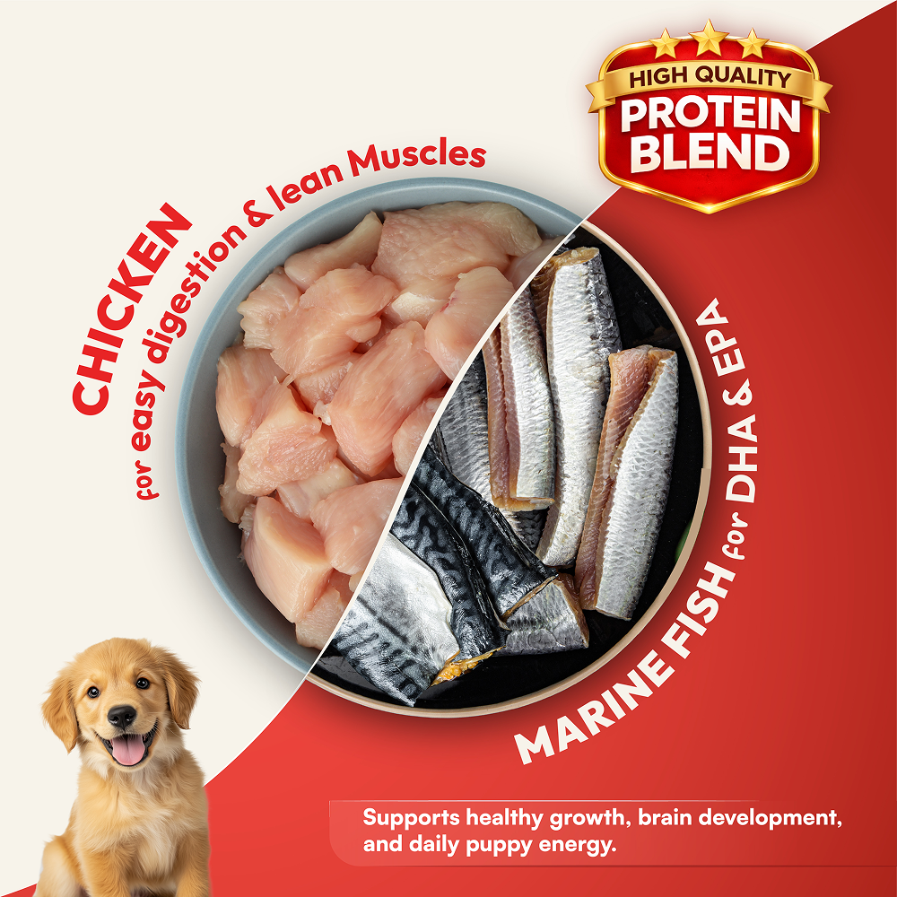 DatGud Chicken & Brown Rice Puppy Dog Dry Food (Buy 1 Get 1 Free) image 7