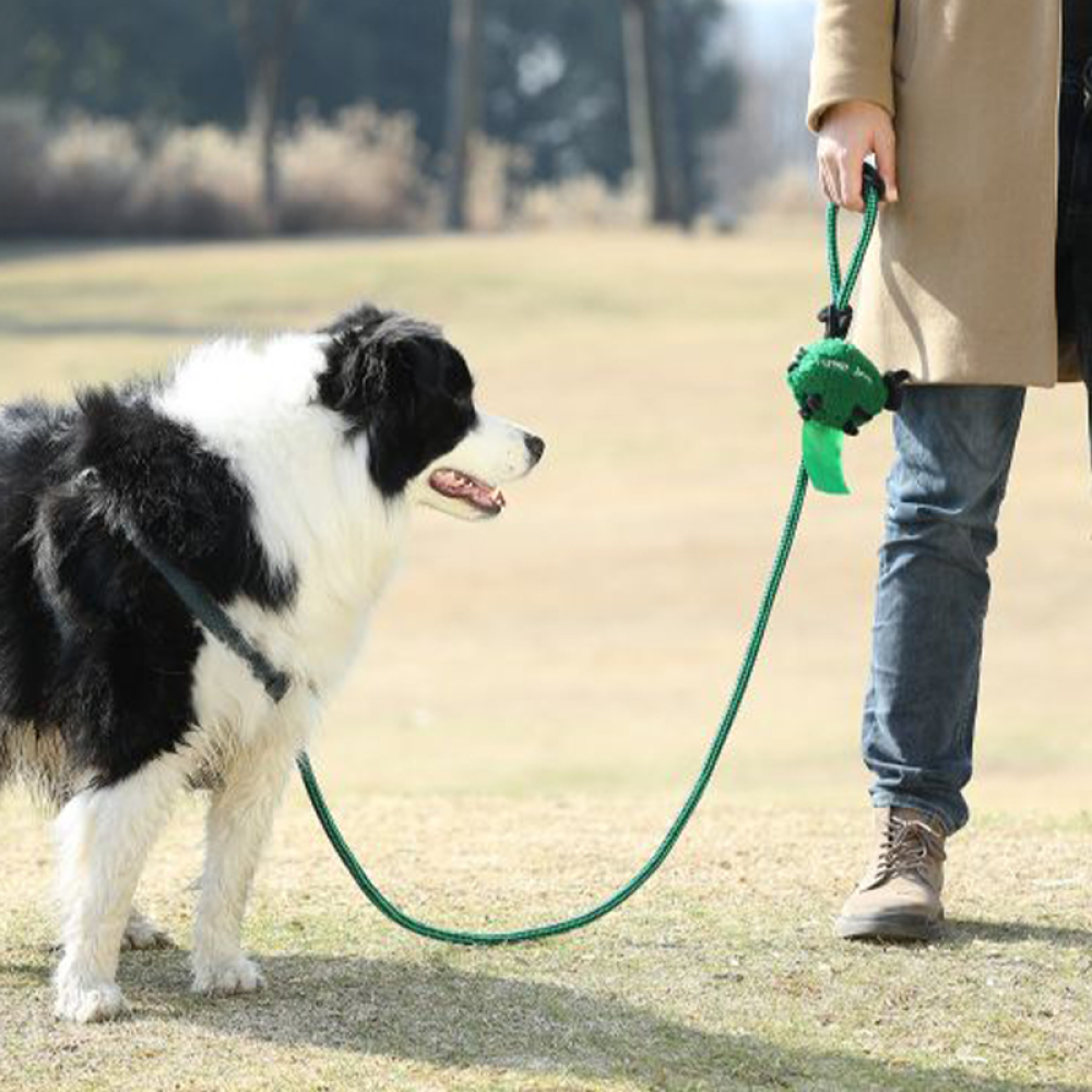 Talking Dog Club Baa Baa Black Sheep! Poop Bag Dispenser for Dogs and Cats (Green) image 5