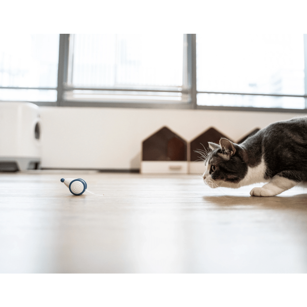 Cheerble Wicked Mouse Interactive Toy for Cats (Blue) image 6