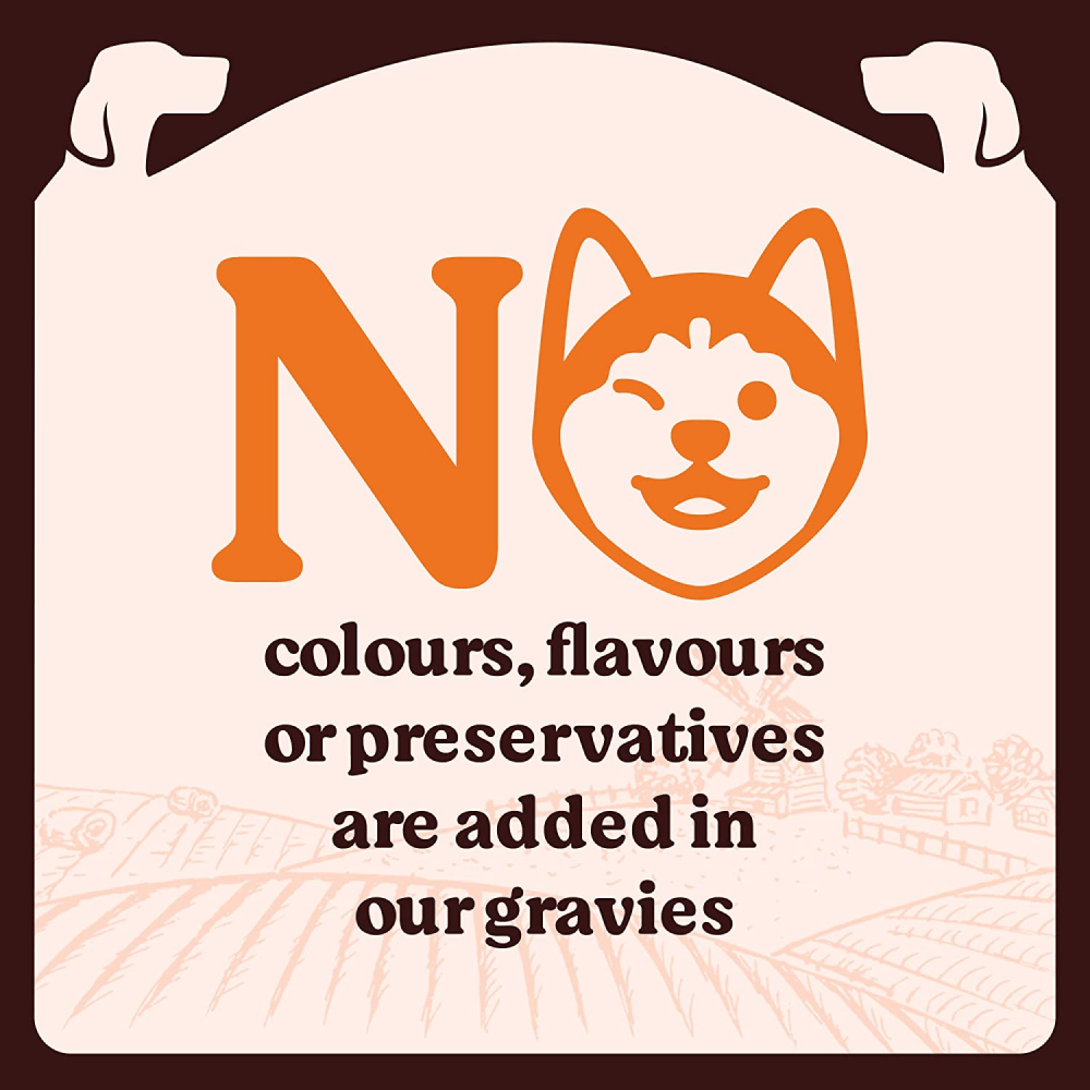 Kennel Kitchen Supreme Cuts in Gravy Variety Pack Dog Wet Food (All Life Stage) image 7