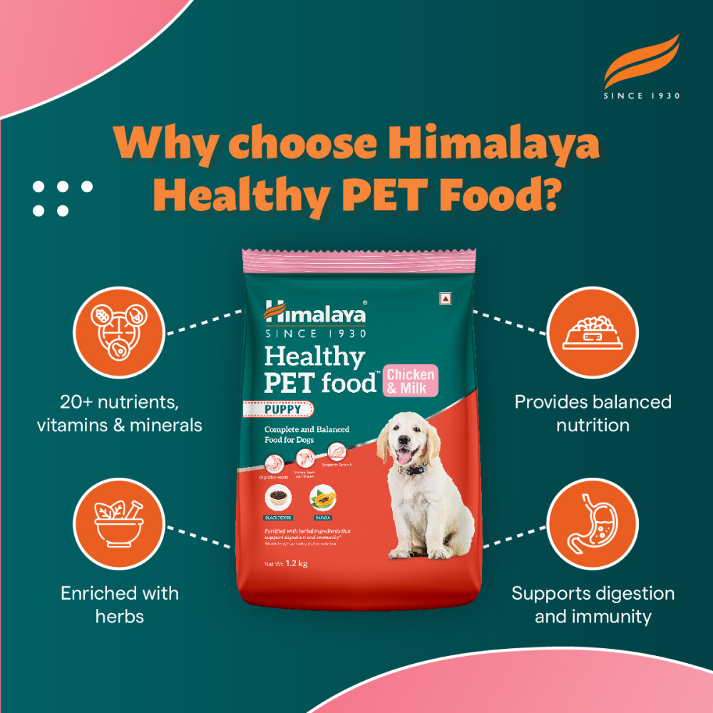 Himalaya Chicken & Milk Healthy Pet Puppy Dry Food image 4