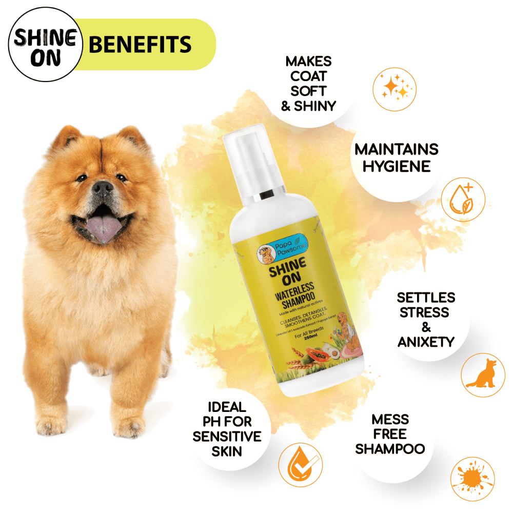Papa Pawsome Shine On Waterless Shampoo for Dogs image 3