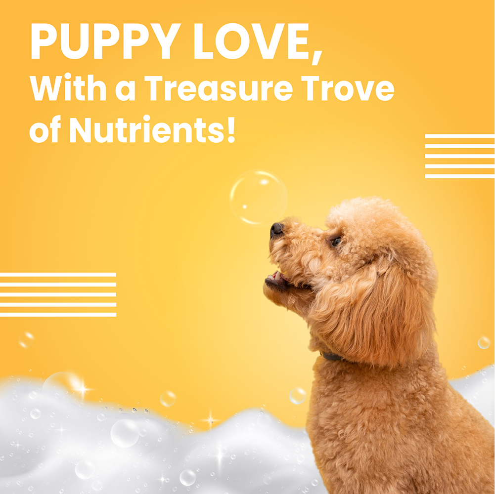 Bark Out Loud Soft Coat Puppy Shampoo for Dogs image 7