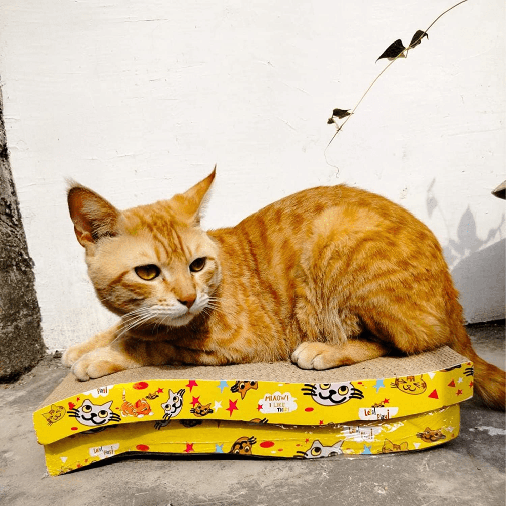 Emily Pets Sofa Bed Scratching Pad for Kittens (Beige) (Pack of 2) image 8
