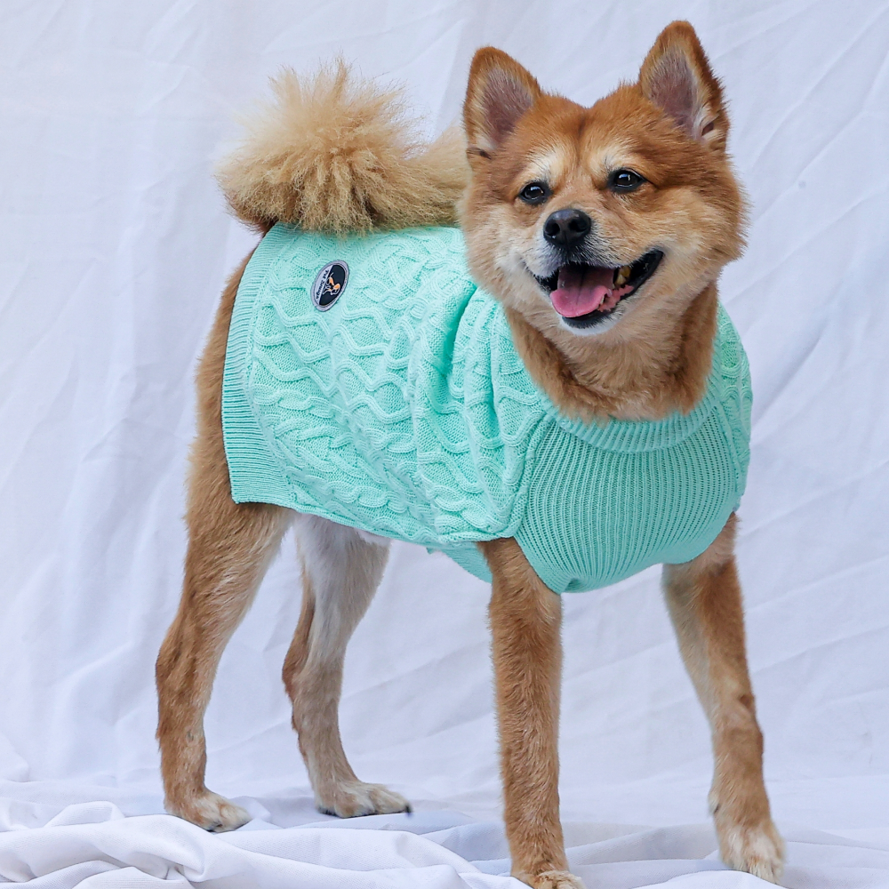 Petsnugs English Cable Knit Sweater for Dogs and Cats image 5