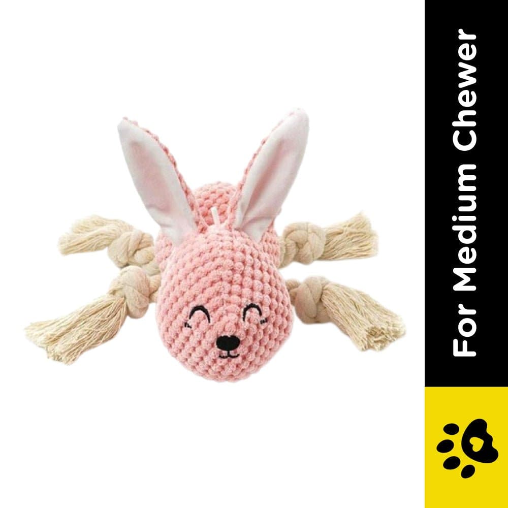Pawsindia Sleepy Bunny Toy for Dogs image 2