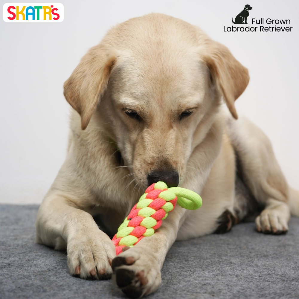 Skatrs Dummy Knotted Rope Chew Toy for Dogs and Cats (Pink/Green) image 4