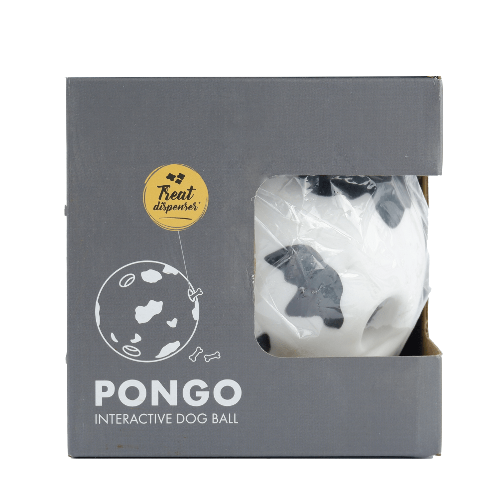 M Pets Pongo Interactive ball Toy for Dogs image 2
