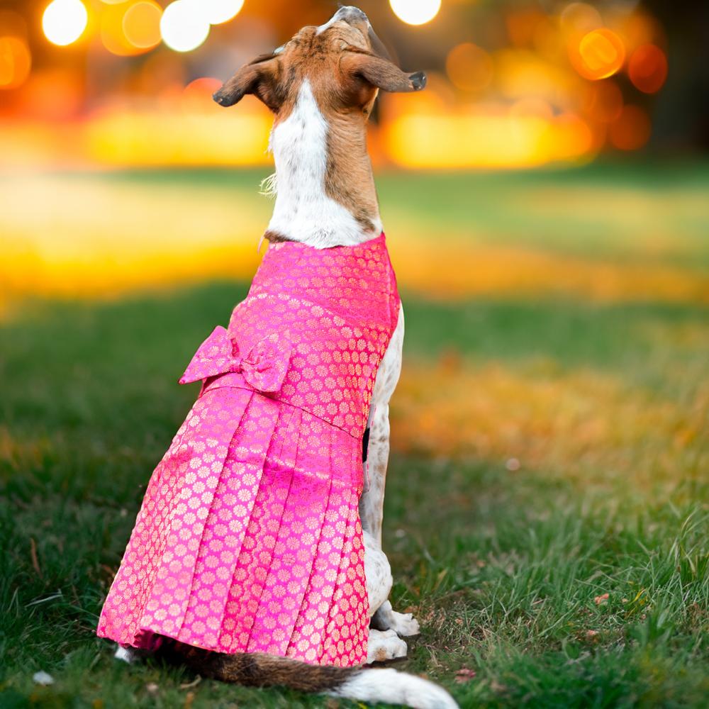 Skatrs Brocade Gold Printed Dress for Dogs and Cats (Pink) image 3
