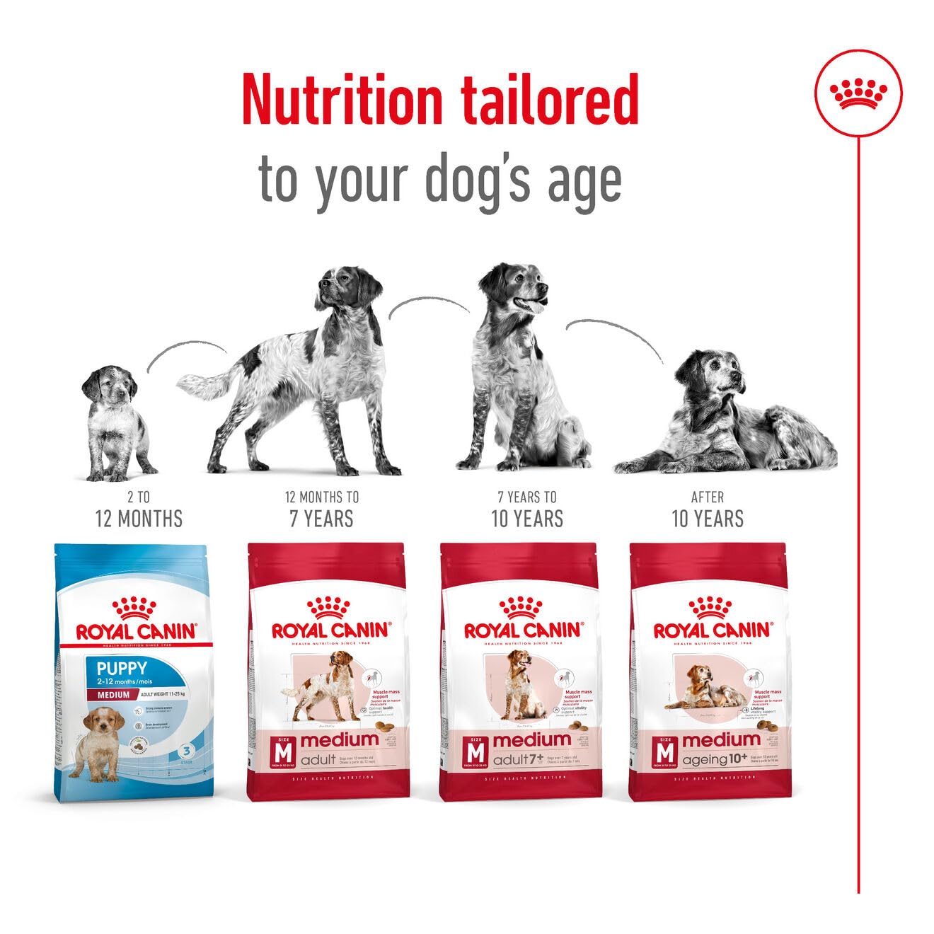 Royal Canin Medium Adult Dog Dry Food image 7