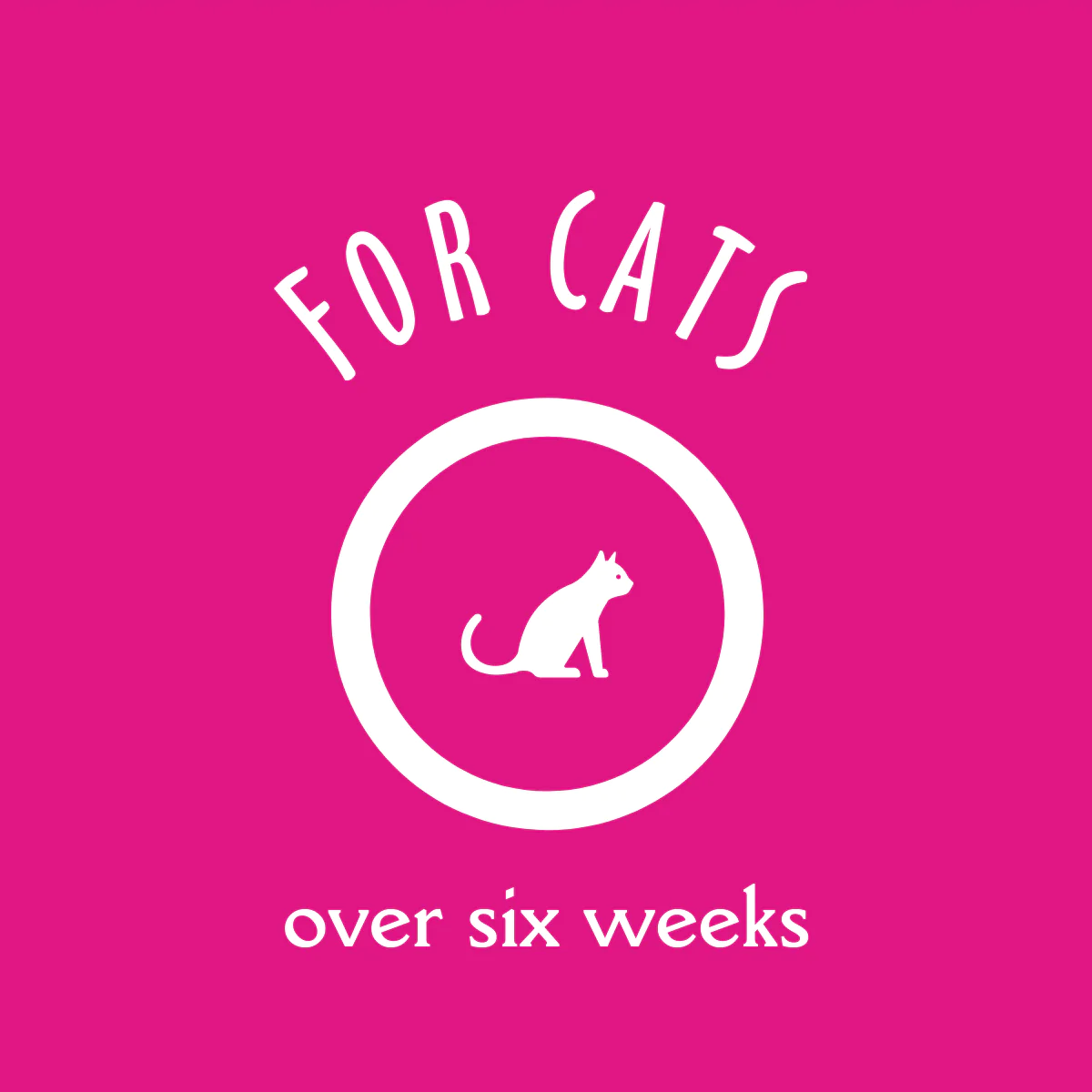 EarthBath Hypo Allergenic Fragrance Free Shampoo for Cats image 4