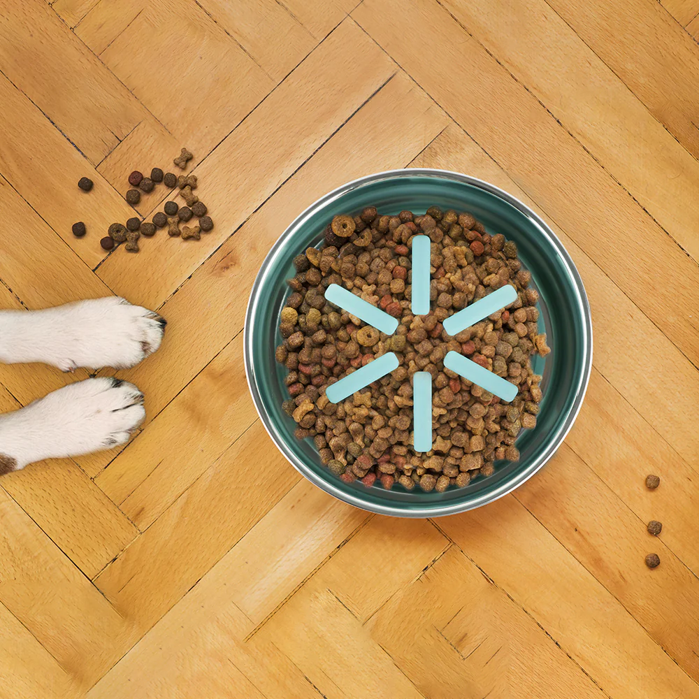 Pawpourri Premium Bowl with Silicone Slow Insert for Dogs and Cats image 3
