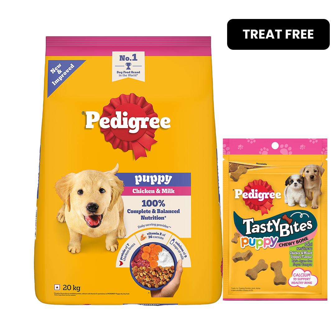 Pedigree Chicken and Milk Puppy Dog Dry Food image 2