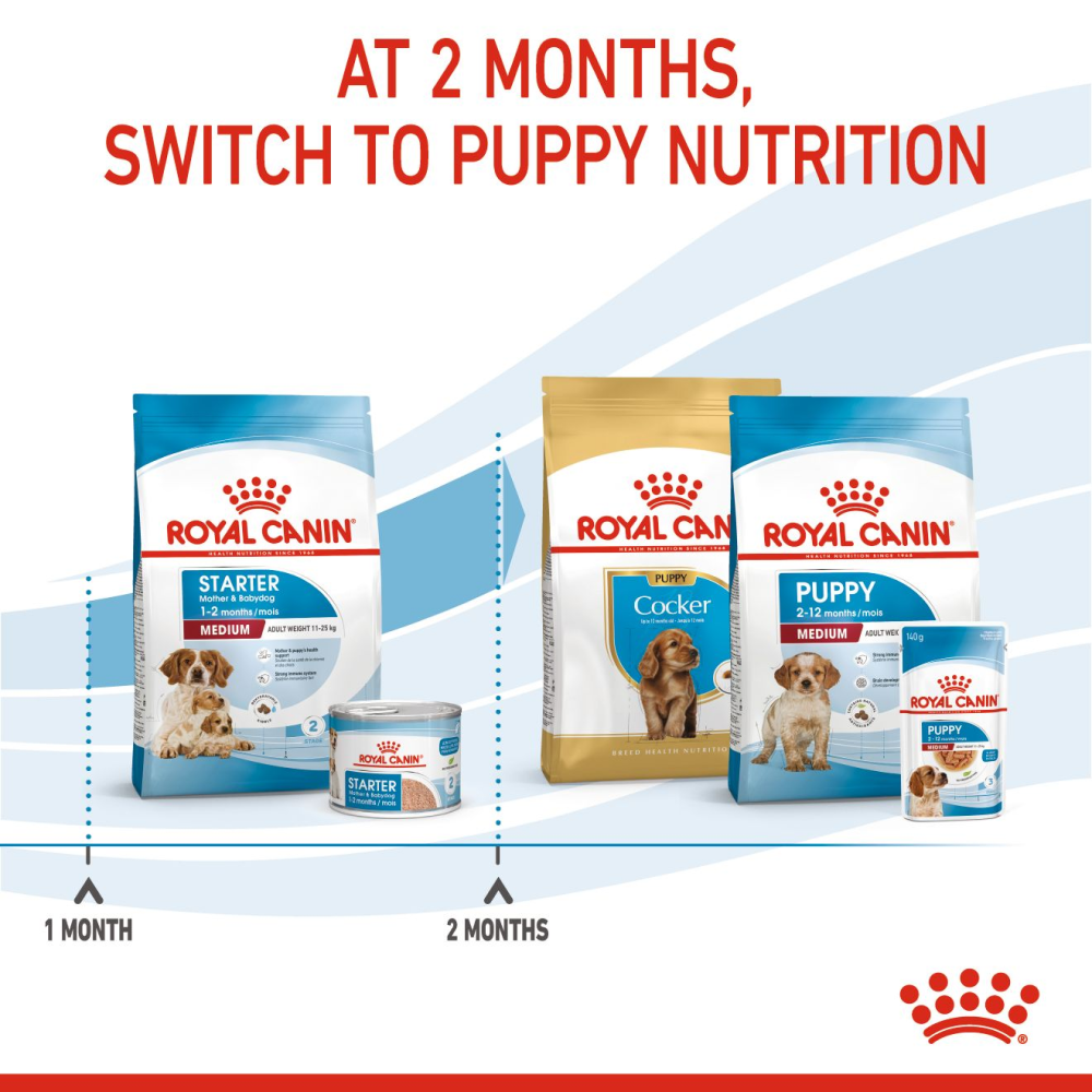 Royal Canin Medium Starter Dry Food for Medium Breed Dog and Puppies image 8