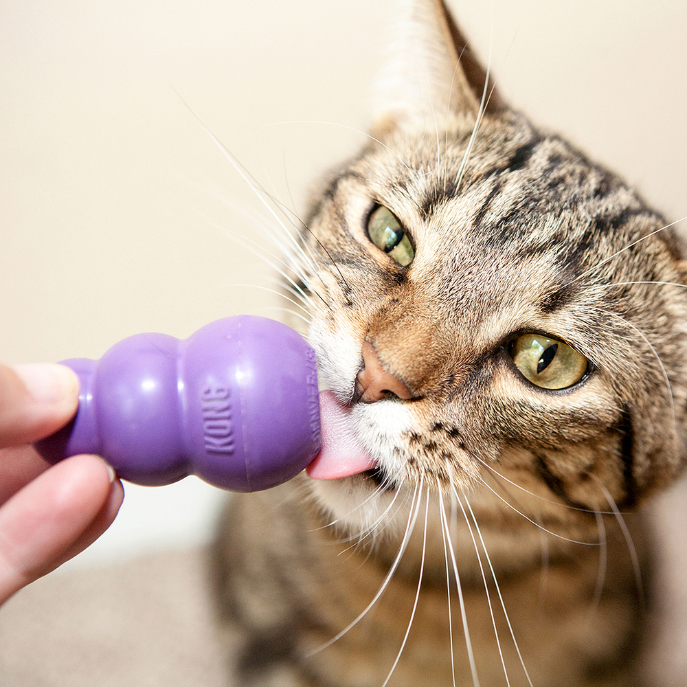Kong Kitty Kong Toy for Cats (Purple) image 3