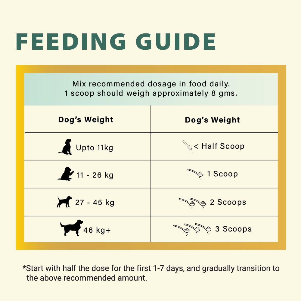 Bruno's Wild Essentials Joint+ Hip & Joint Care Supplement for Dogs image 6