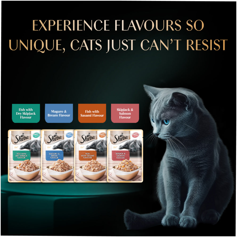 Sheba Fish with Sasami Premium Cat Wet Food image 7