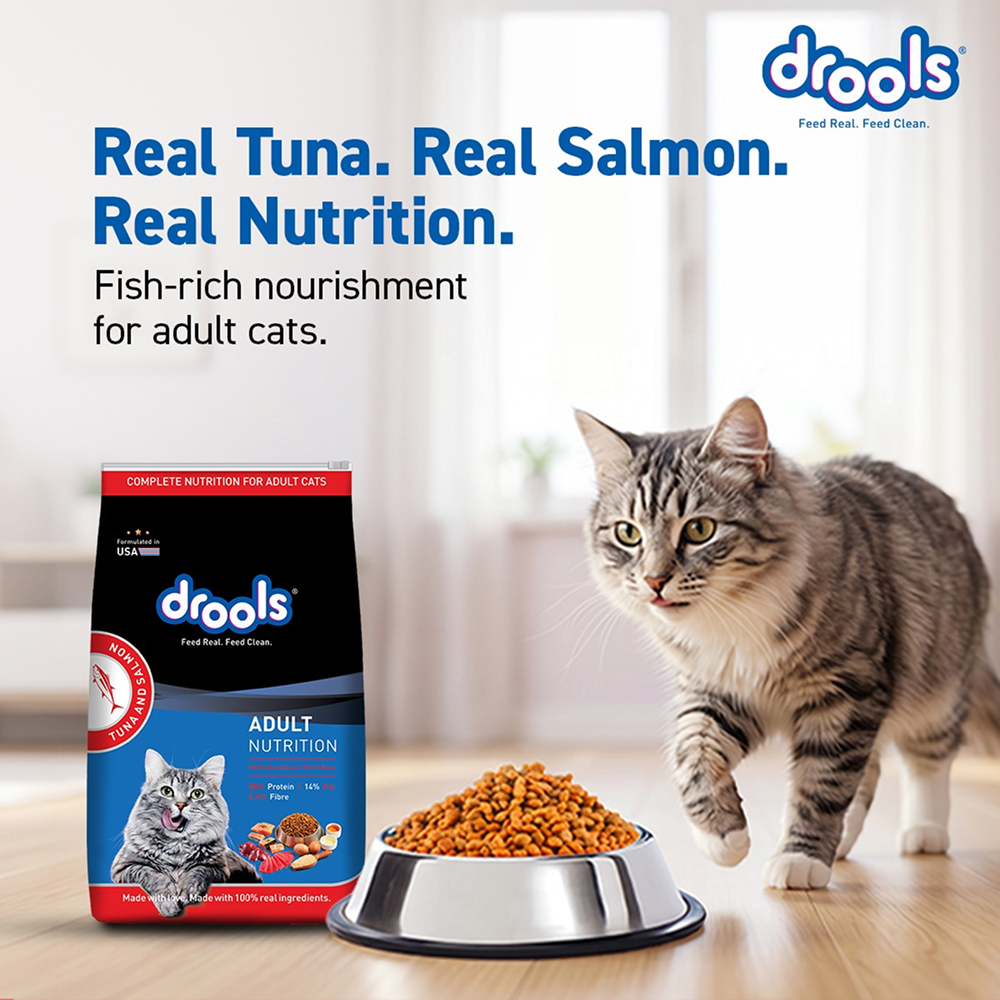 Drools Tuna & Salmon Adult Dry Cat Food image 2