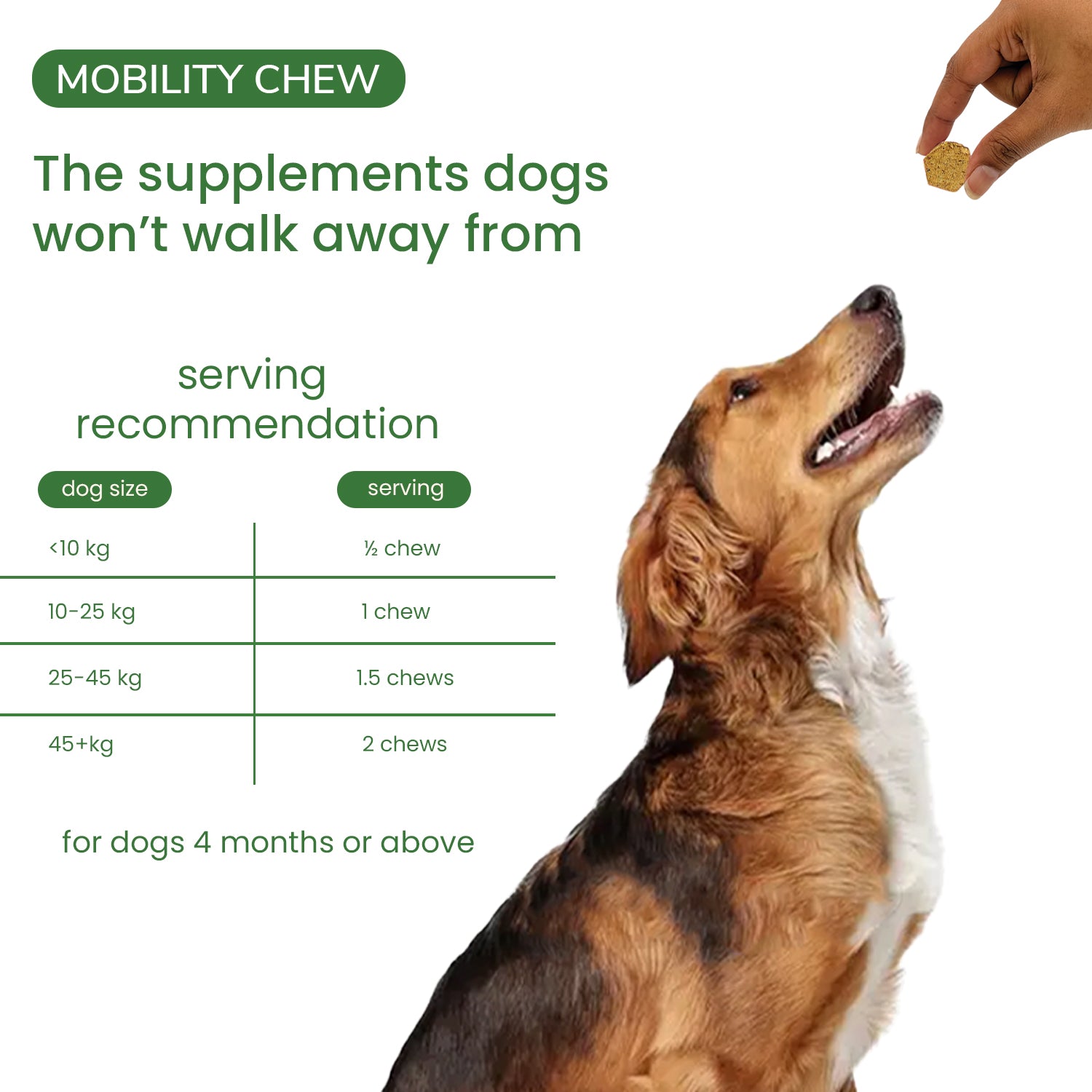 Nootie+ Joint & Bone Mobility Chews Supplement for Dogs image 5