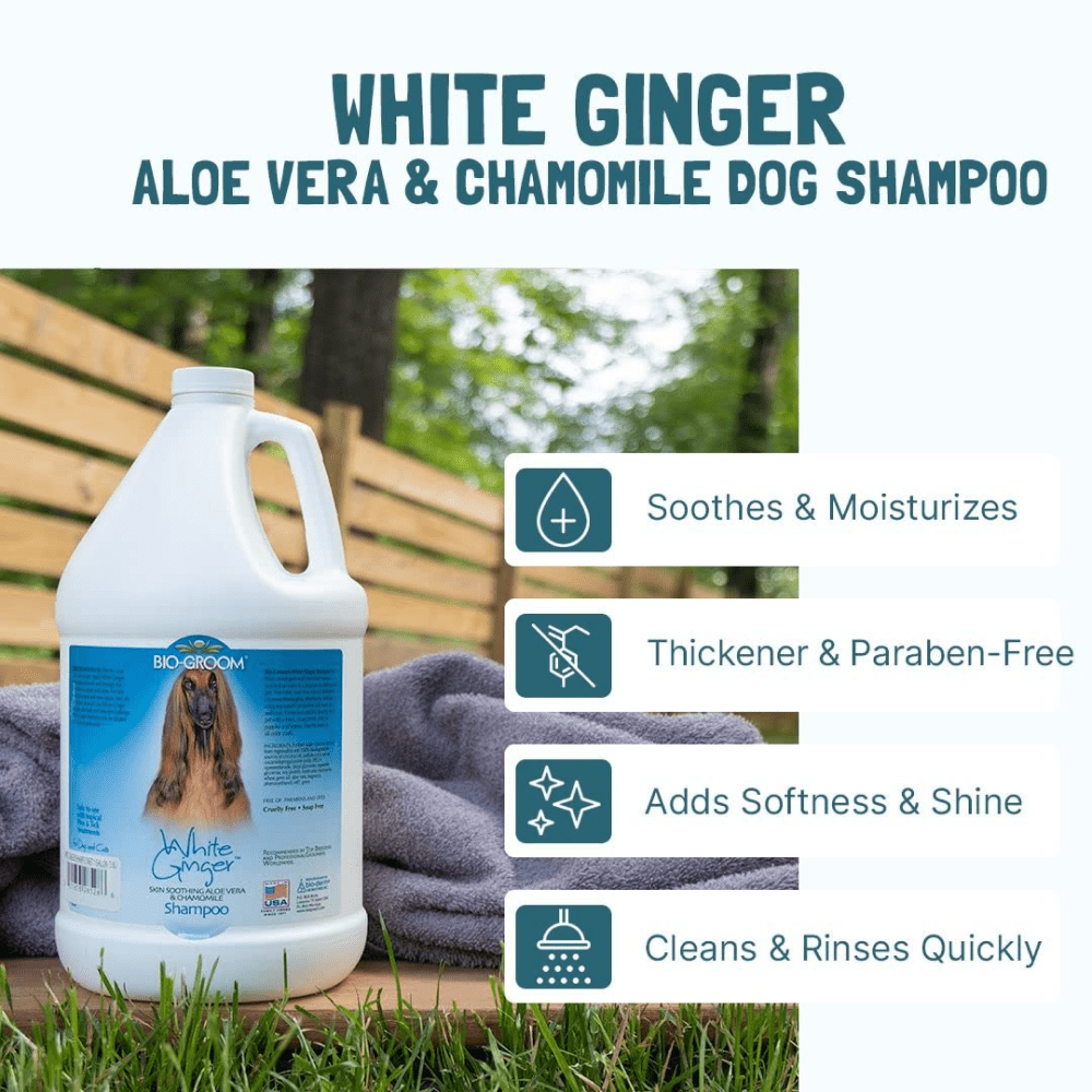 Bio Groom White Ginger Natural Scent Shampoo for Dogs and Cats image 4