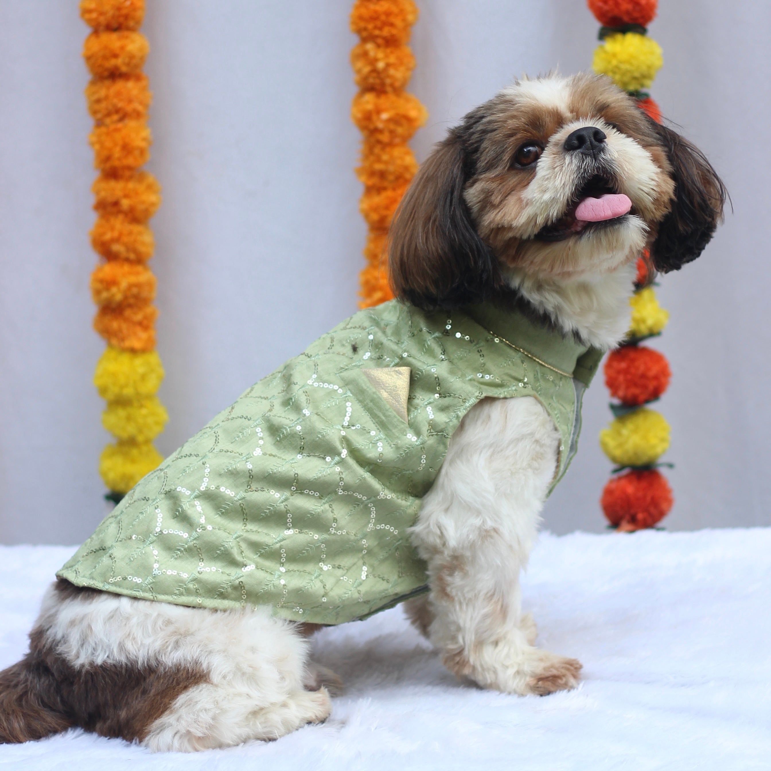 Pawgypets Festive Shahi Kurta for Dogs (Pastel Green)