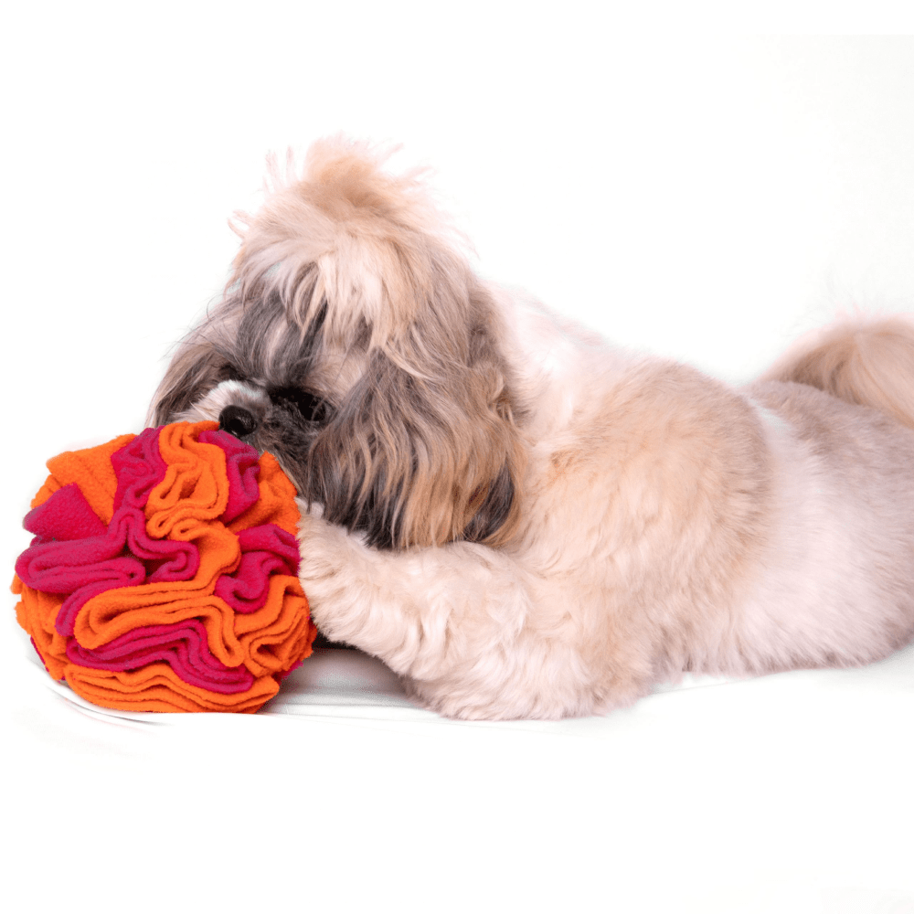 For The Love Of Dog Sniffer Ball Toy for Dogs (Pink/Orange) image 3