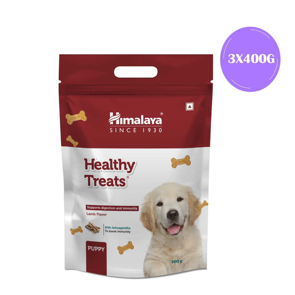 Himalaya Lamb Flavour Healthy Puppy Dog Treats image 4