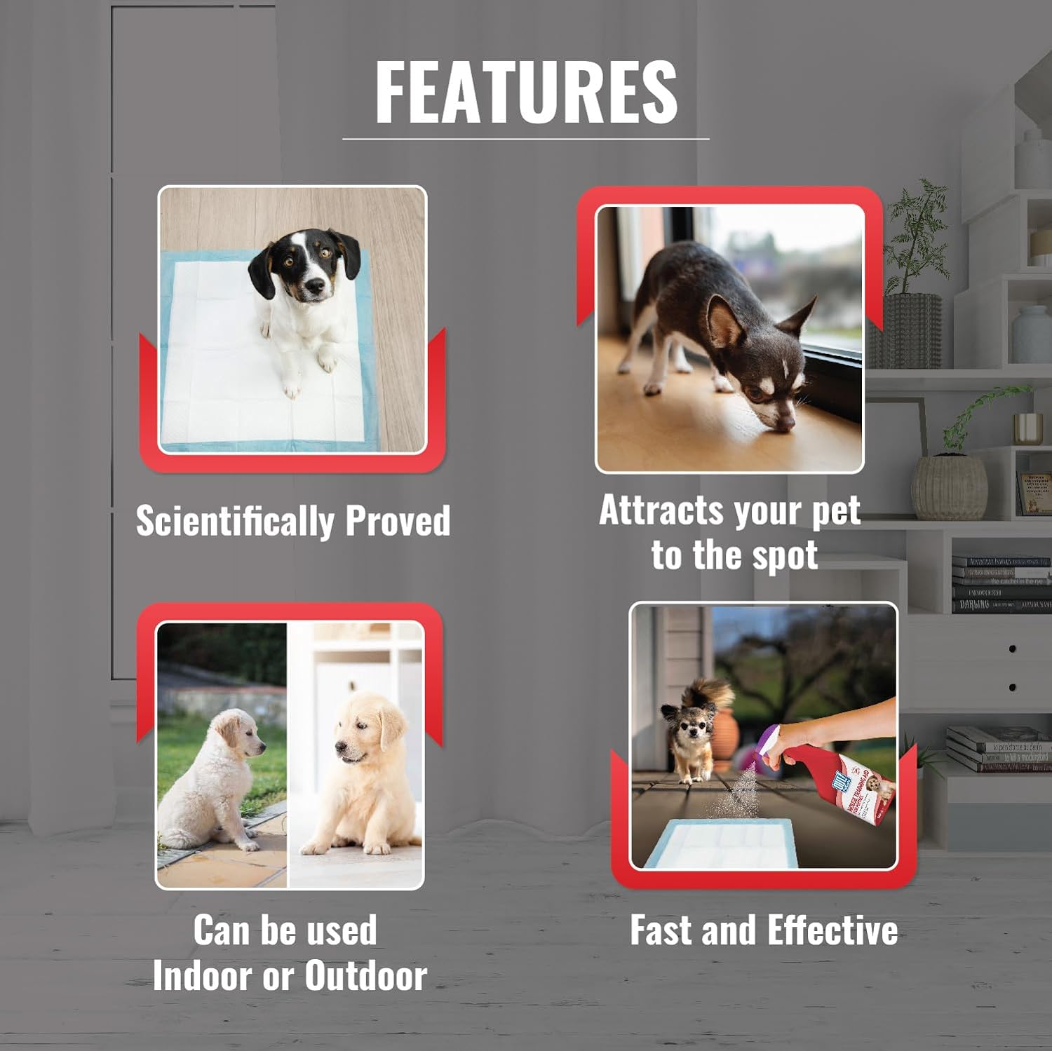 OUT! Toilet Training Aid for Puppies image 4