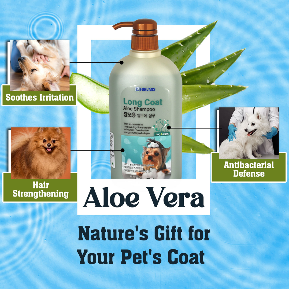 Forbis/Forcans Long Coat Aloe Shampoo for Dogs image 5
