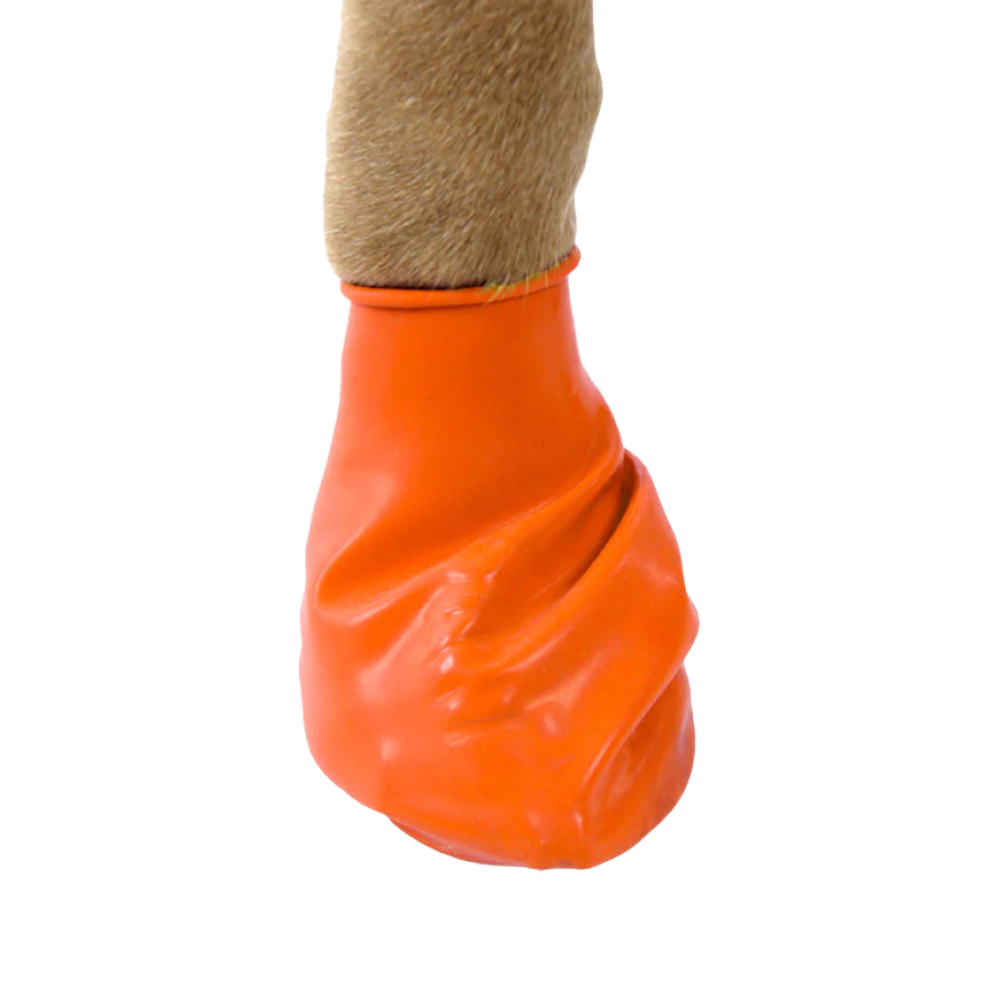 Protex PawZ Disposable and Reusable Bootz for Dogs (Orange) image 2